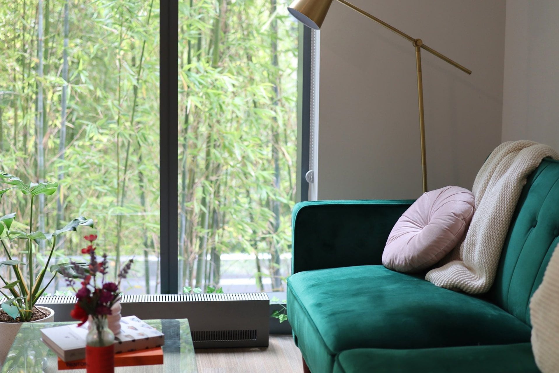 A green couch and a golden lamp in a tranquil studio apartment in San Francisco, CA
