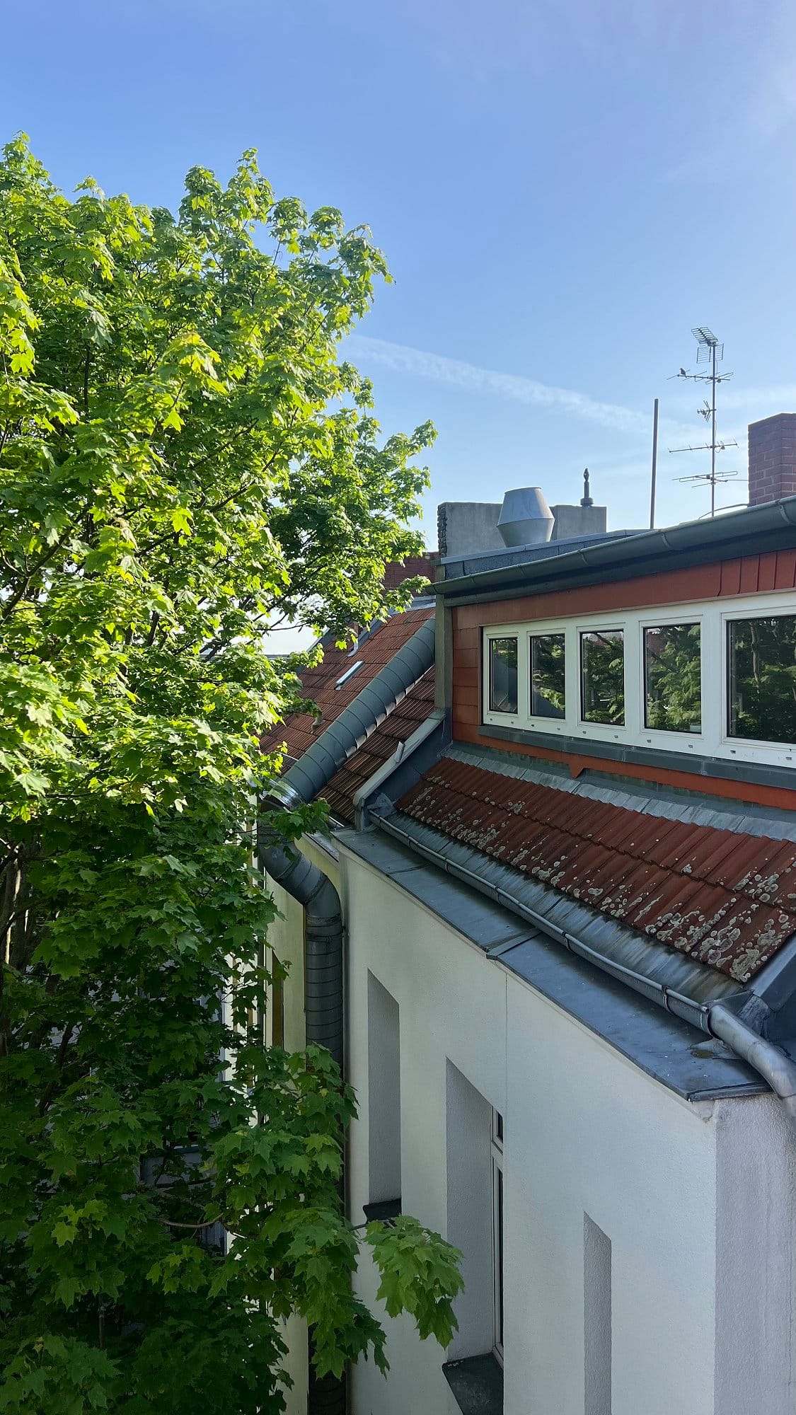 A view of a red-roofed house in Berlin with multiple windows and a large leafy tree, set against a clear blue sky