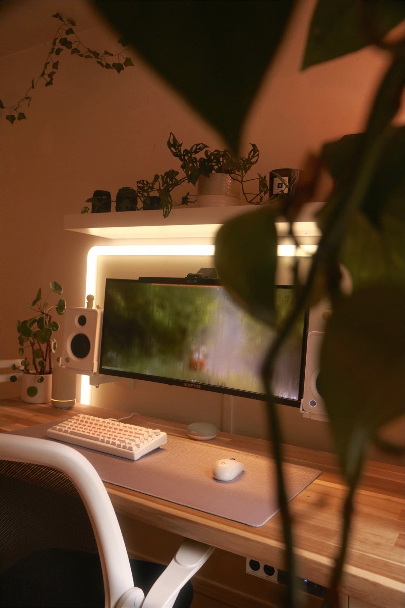 A cosy workspace with a Sceptre 30″ Ultrawide monitor, Mackie CX3 speakers, and an AKKO MOD 007 PC keyboard, illuminated by ambient lighting and decorated with plants