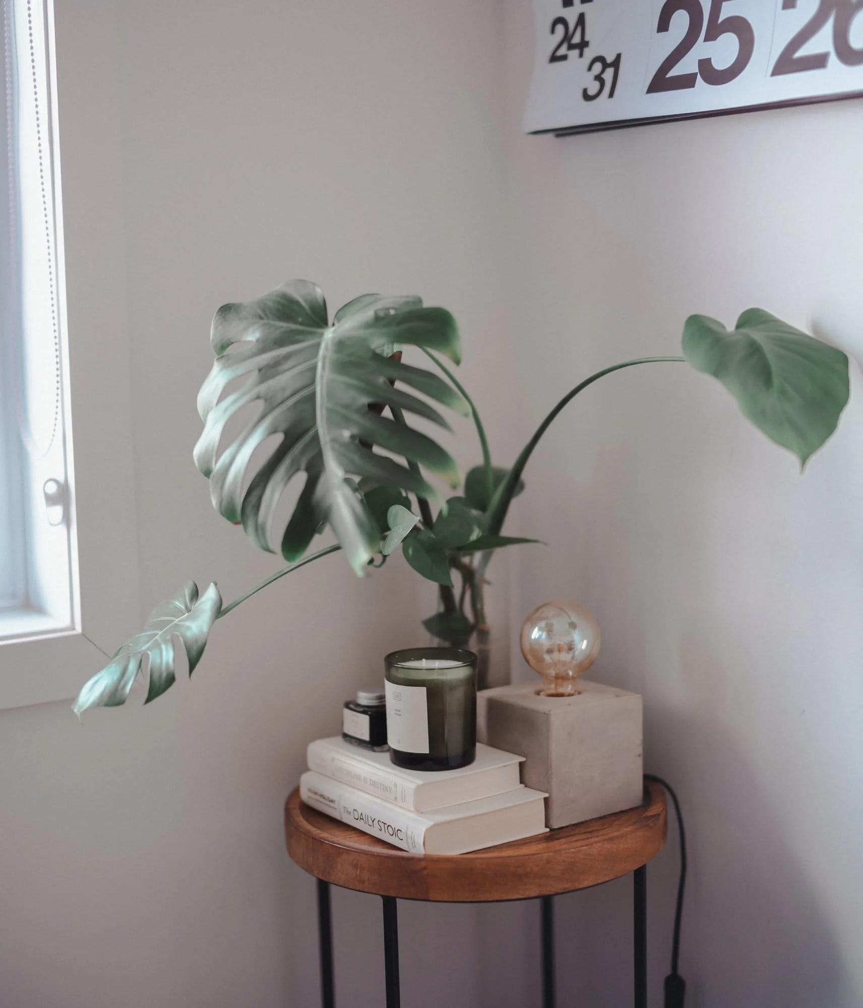 A monstera plant on a small round wooden side table beside a window, with stacked books, a green candle, a jar, and a concrete lamp with an exposed bulb