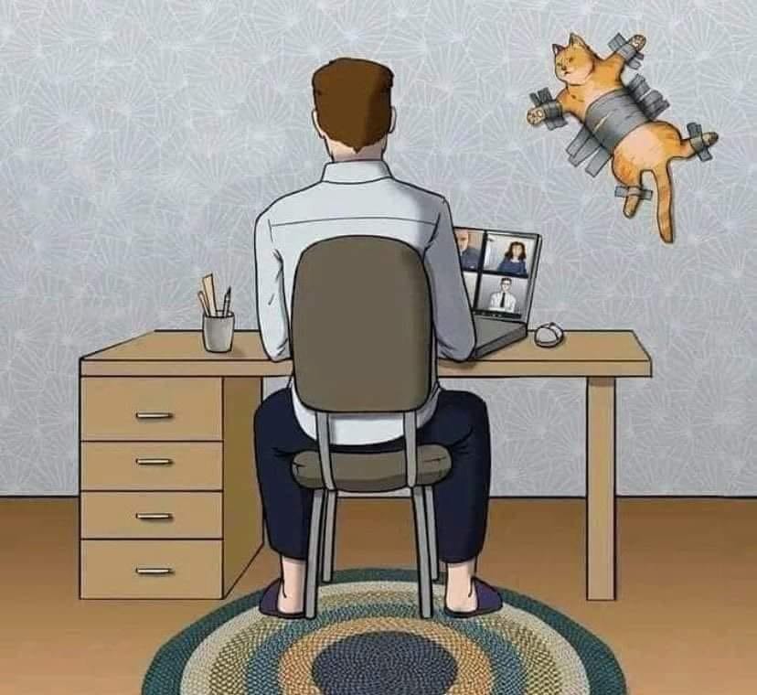 Cartoon of a man in a video meeting, while his orange cat is duct-taped to the wall to avoid disturbing the call