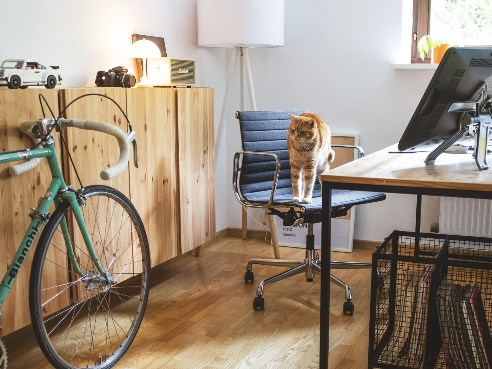 A ginger cat stretching on an office chair in a home workspace with a desk, monitor, mint green road bike, and wooden cabinets