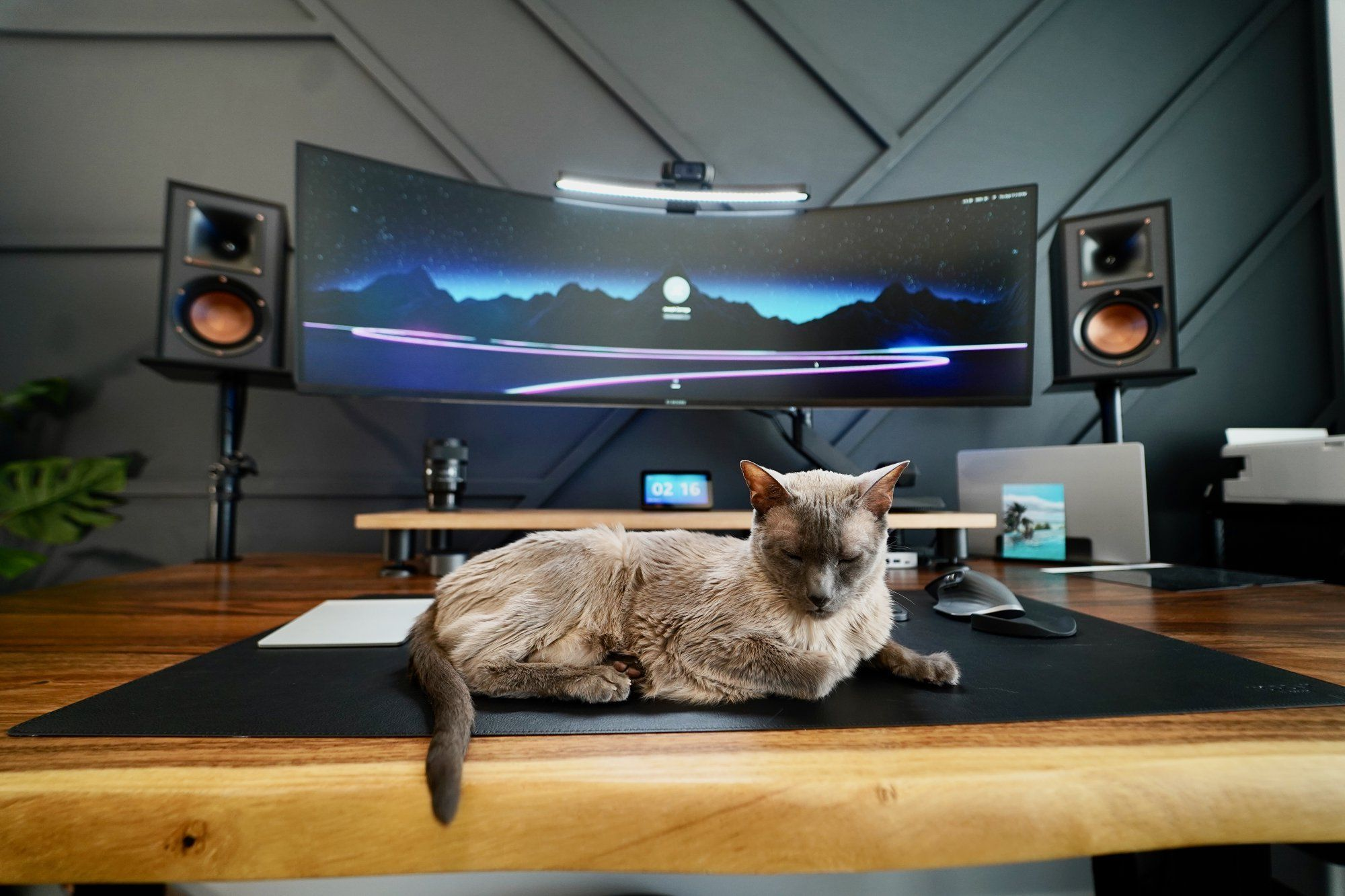 A Siamese cat lying on a wooden desk in front of an ultrawide curved monitor, flanked by large studio speakers in a dark, modern workspace