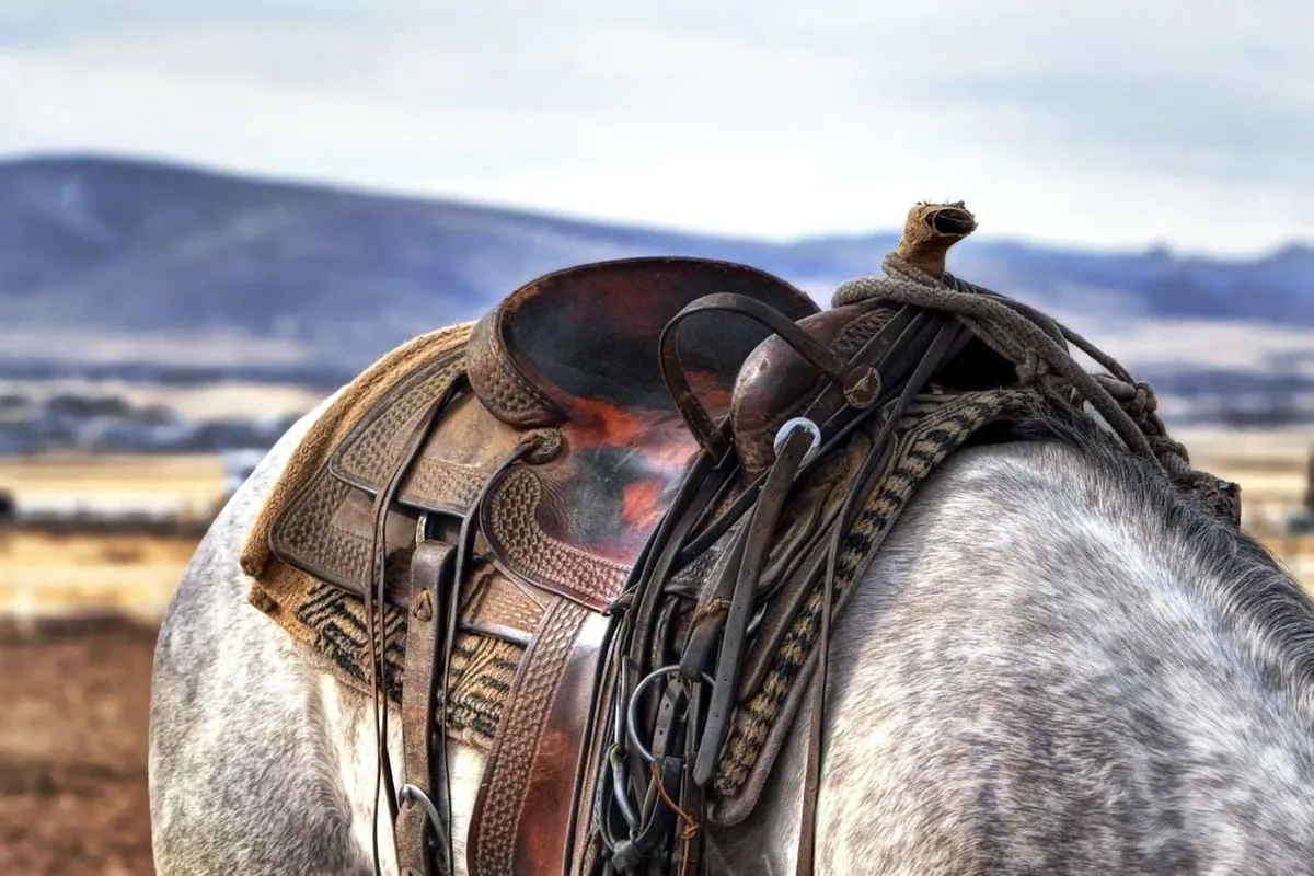 Shaddle The Craftsmanship Behind Saddles: Inspiration for Makers and Designers