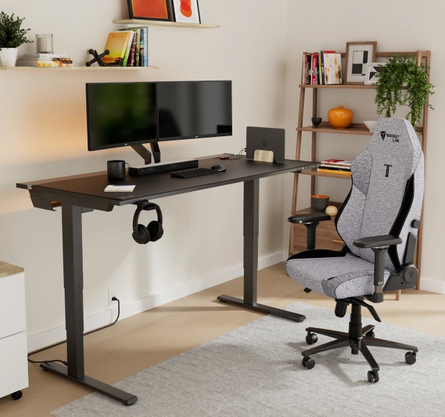 Standing Desk Setup for Long Streams
